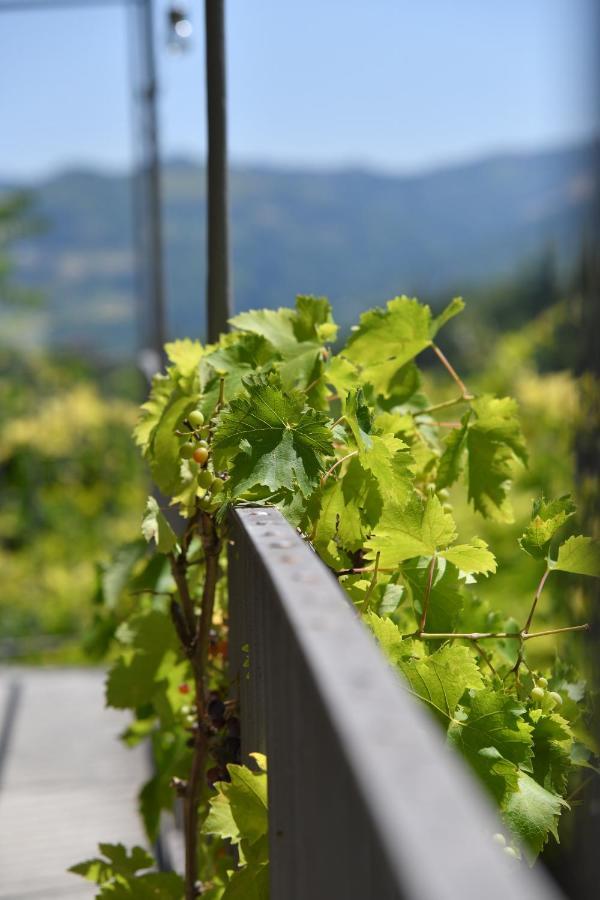 Apartmán Cascina Flino Diano dʼAlba Exteriér fotografie