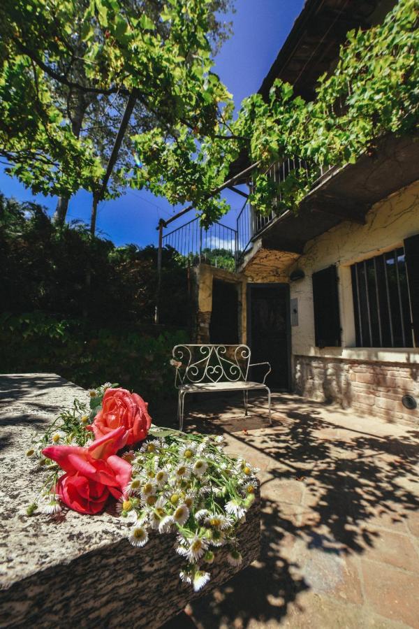 Apartmán Cascina Flino Diano dʼAlba Exteriér fotografie